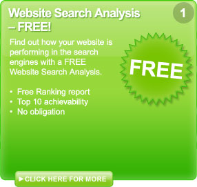 Website search analysis