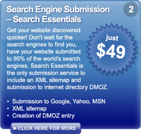 Search Engine Submission