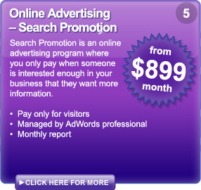 Search promotion