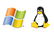 Dedicated Operating Systems Windows & Linux