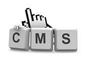 Content Management Systems - (CMS)