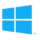 Windows Server Logo